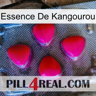 Kangaroo Essence 13